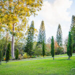 wedding venue in Brisbane